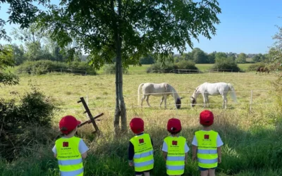 Crèche familiale près de Livange : nous prenons soin de vos enfants !